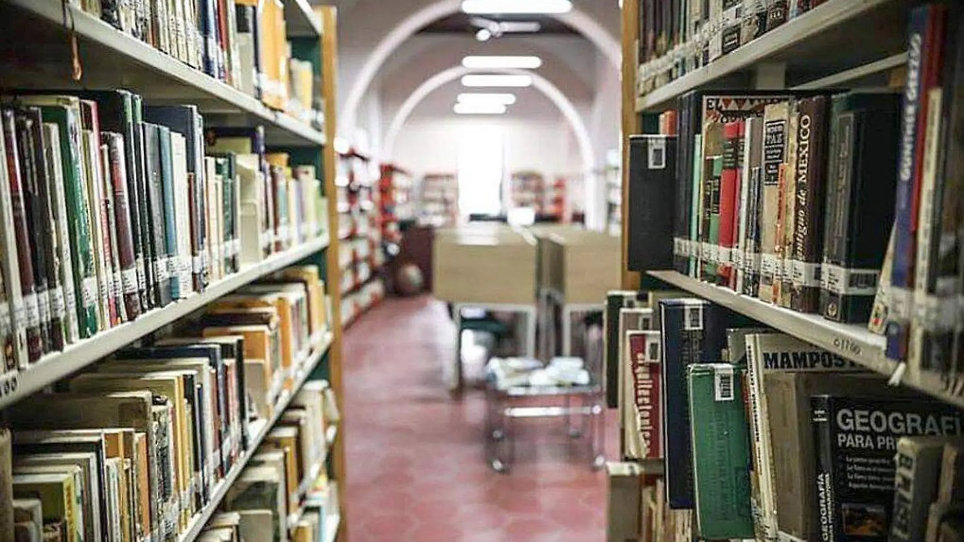 Estantes con libros en biblioteca